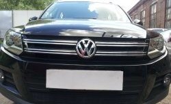 2 099 р. Сетка на бампер Sport&Style Russtal (черная)  Volkswagen Tiguan  NF (2011-2017)  с доставкой в г. Калуга. Увеличить фотографию 3