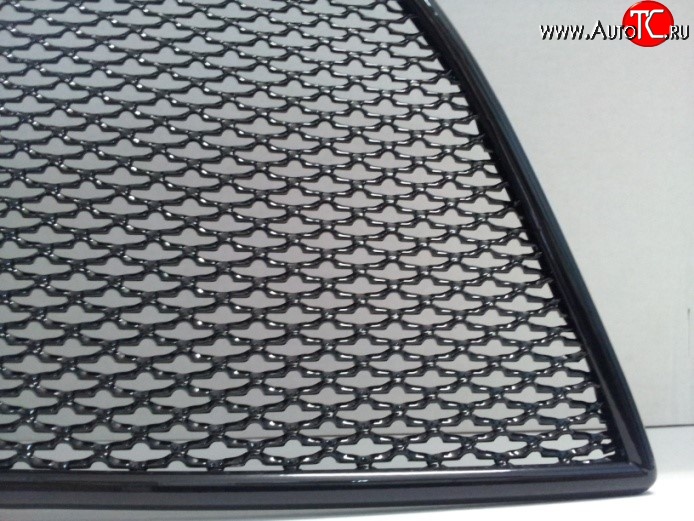 1 469 р. Сетка на бампер Track&Field Russtal (черная) Volkswagen Tiguan NF рестайлинг (2011-2017)  с доставкой в г. Калуга